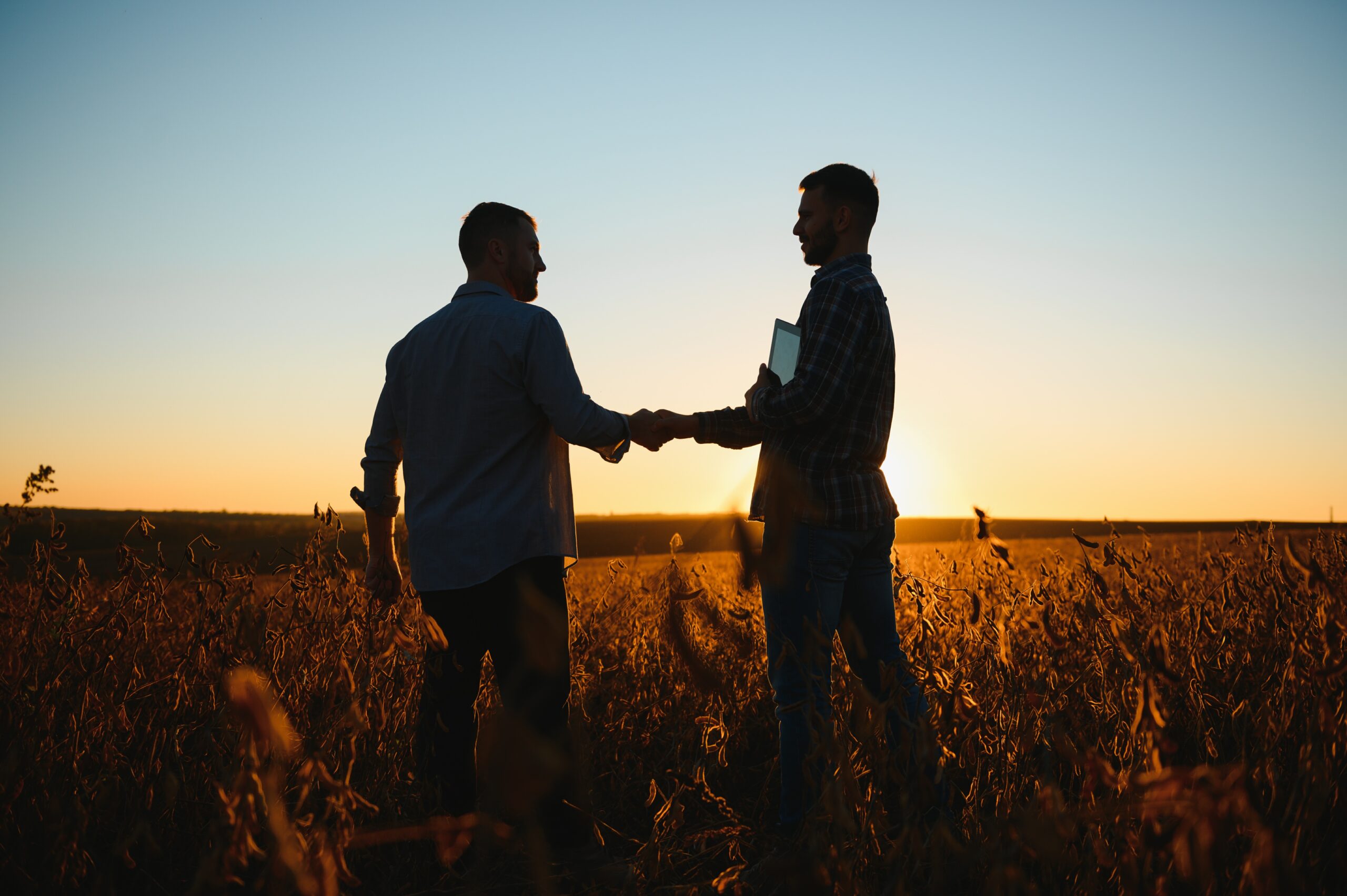 Two farmers shaking hands in a soybean field